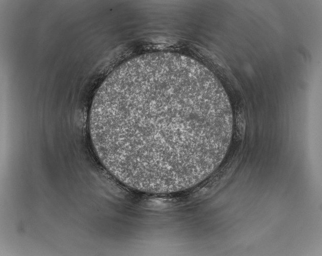 X0000110320657200906181824