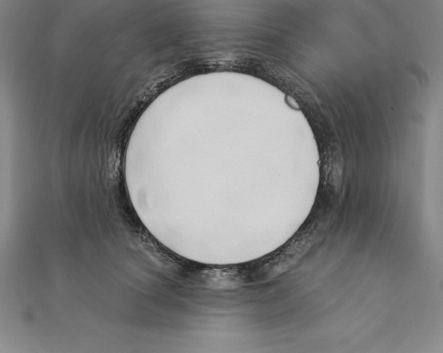 X0000110320660200906181824