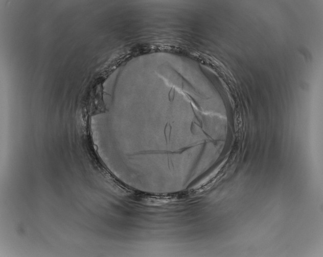 X0000110320661200906181824