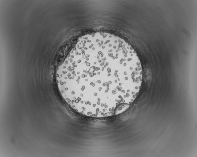 X0000110320664200906181824