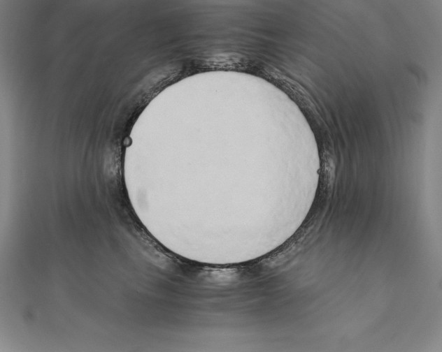 X0000110320665200906181824