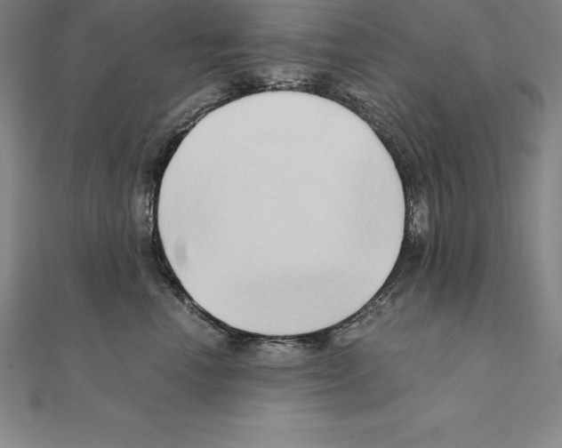 X0000110320666200906181824