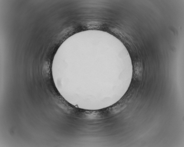 X0000110320667200906181824