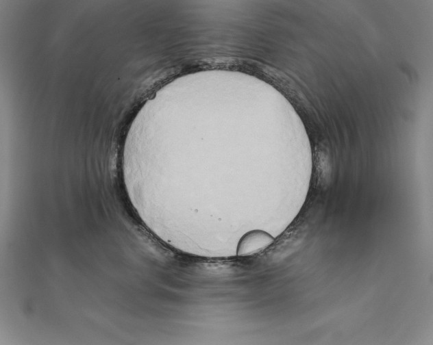 X0000110320668200906181824