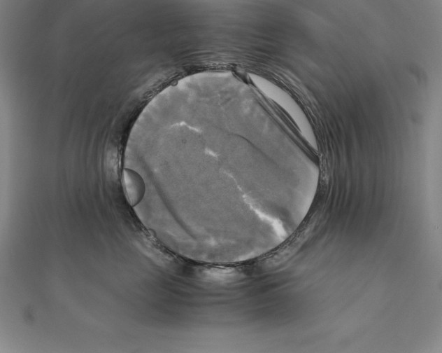 X0000110320669200906181824