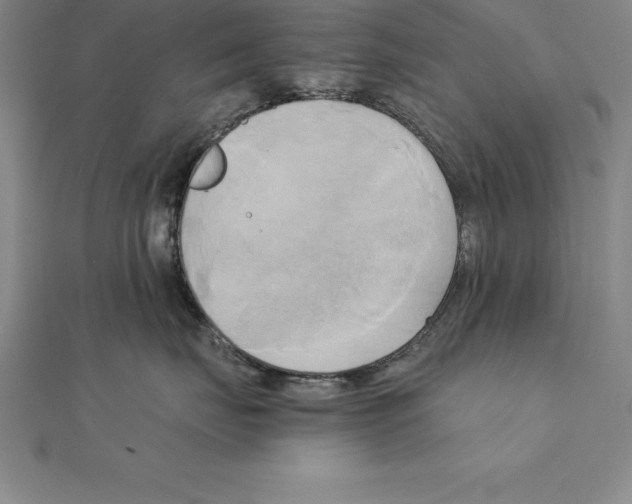 X0000110320671200906181825