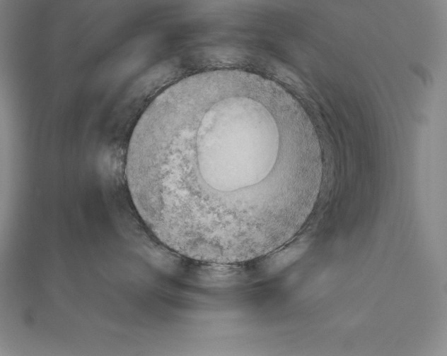 X0000110320672200906181825