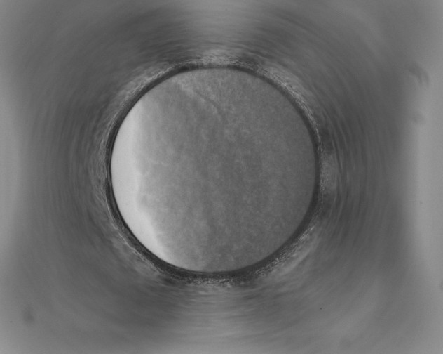 X0000110320673200906181824