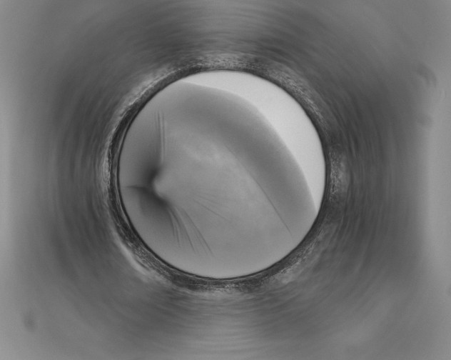 X0000110320674200906181824