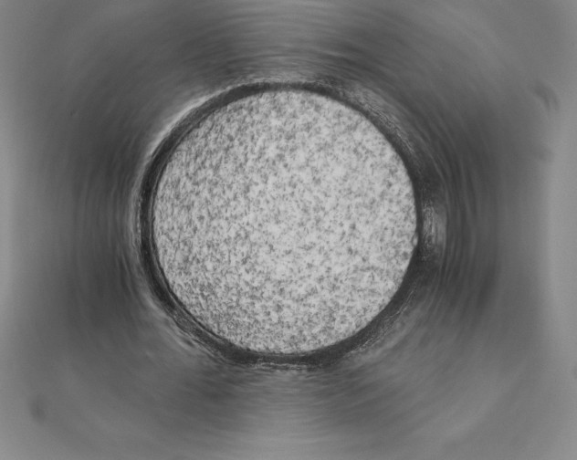 X0000110320676200906181824