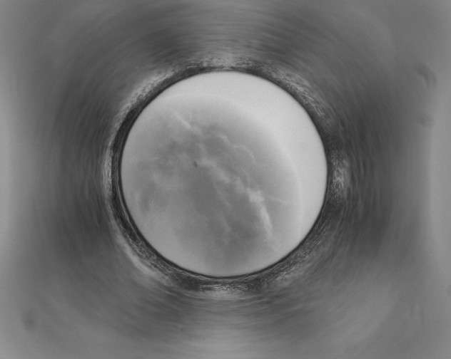 X0000110320678200906181824