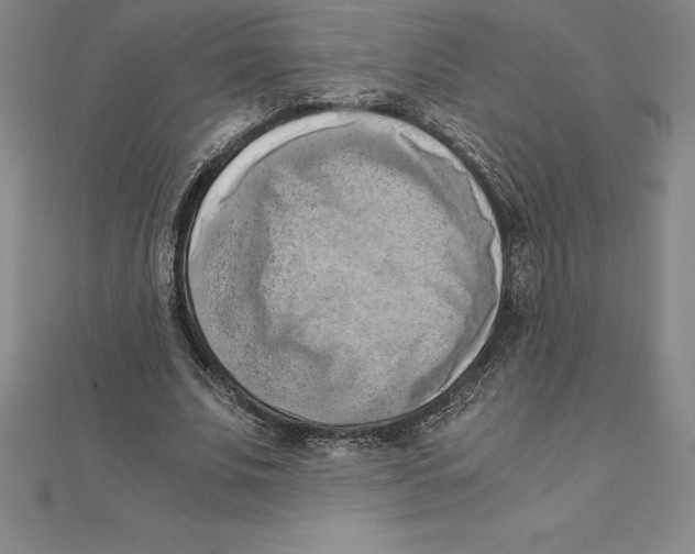 X0000110320679200906181824