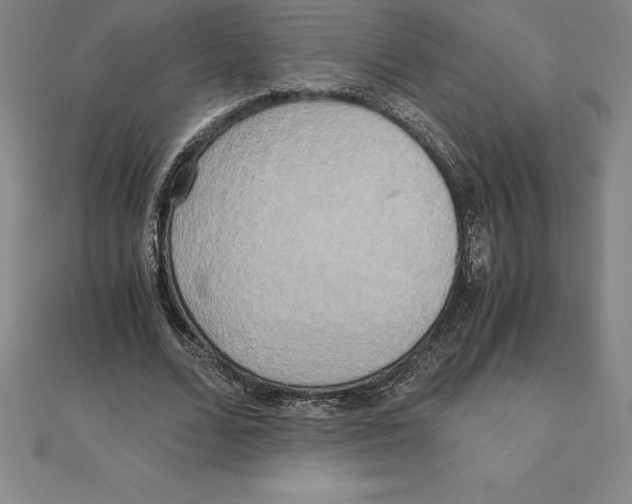 X0000110320680200906181824