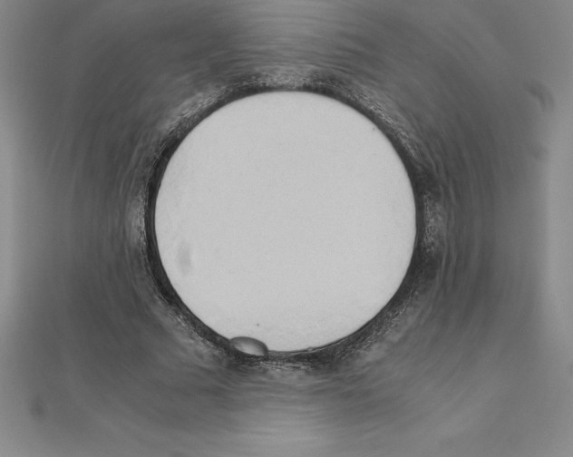 X0000110320681200906181824