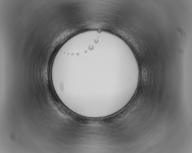 X0000110320682200906181824