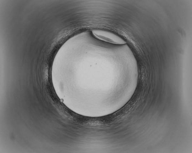 X0000110320685200906181824