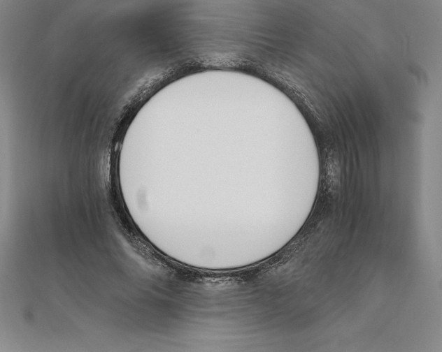 X0000110320686200906181824