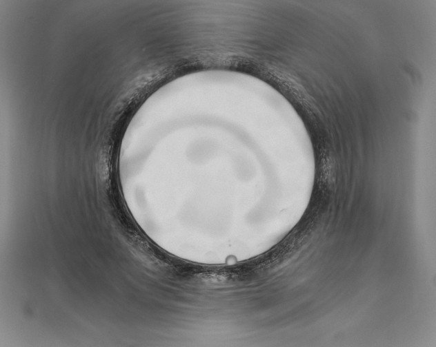 X0000110320687200906181824