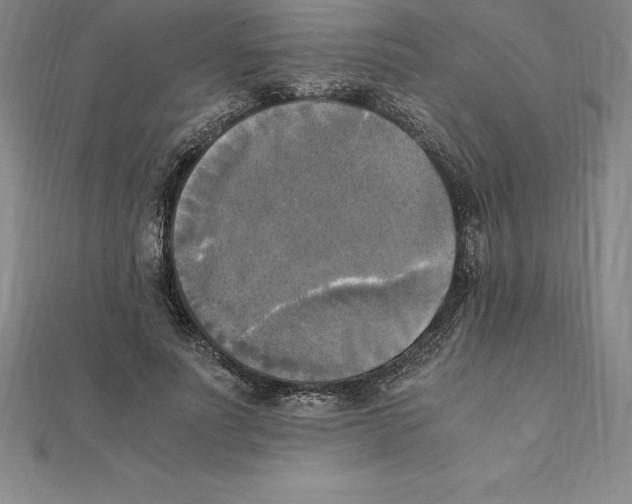 X0000110320691200906181824