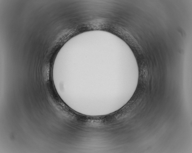 X0000110320694200906181824