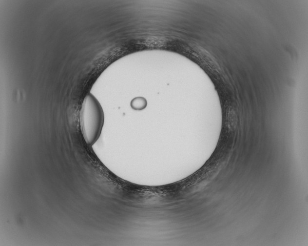 X0000110320697200906181824