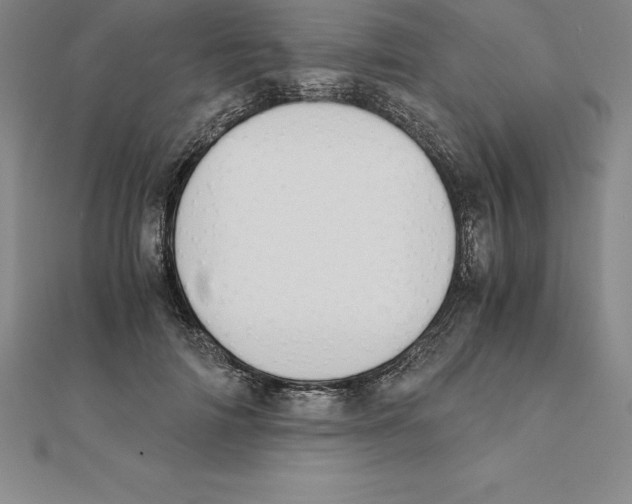 X0000110320698200906181824