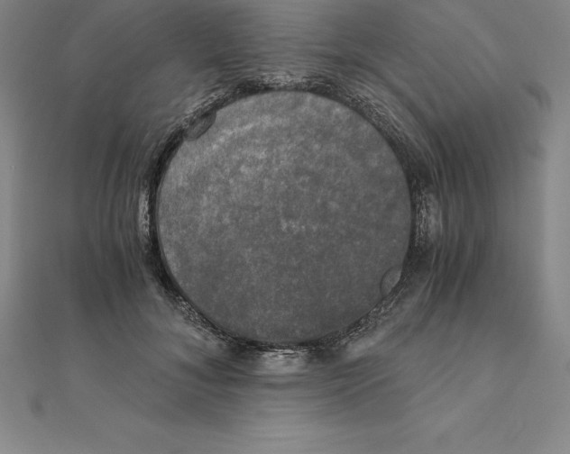 X0000110320700200906181824