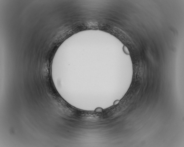 X0000110320702200906181824