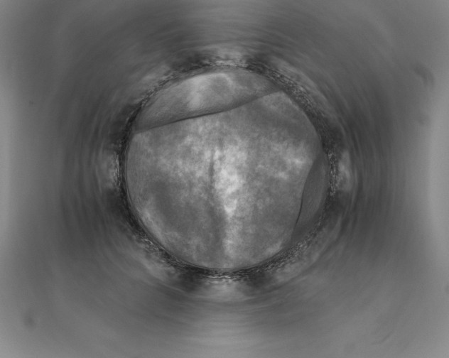 X0000110320704200906181824