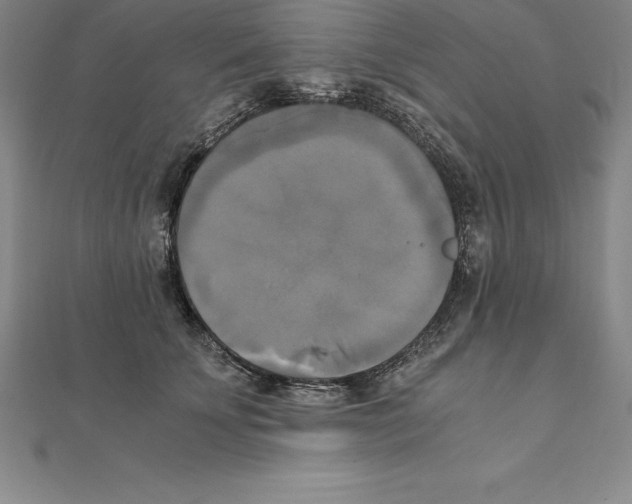 X0000110320707200906181823