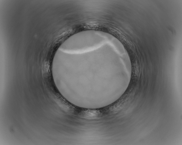 X0000110320711200906181823