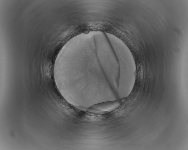 X0000110320712200906181823