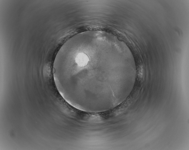 X0000110320715200906181823