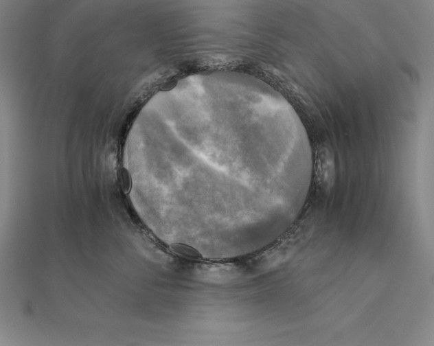 X0000110320716200906181823