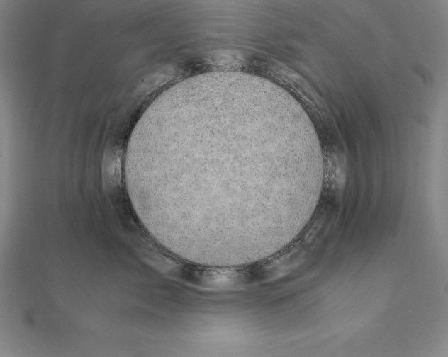 X0000110320717200906181823