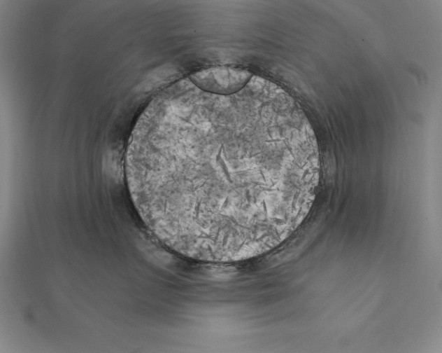 X0000110320719200906181823