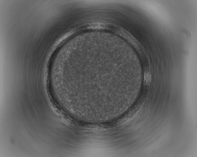 X0000110320724200906181823