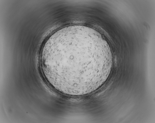 X0000110320725200906181823