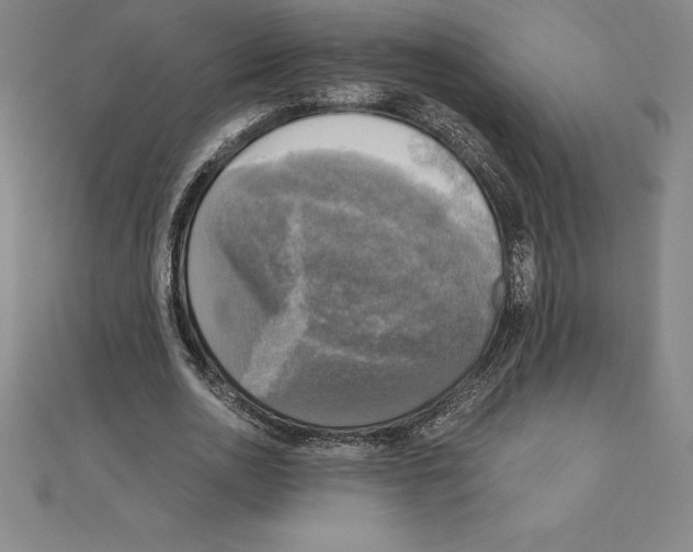 X0000110320726200906181823