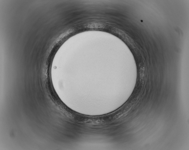 X0000110320727200906181823