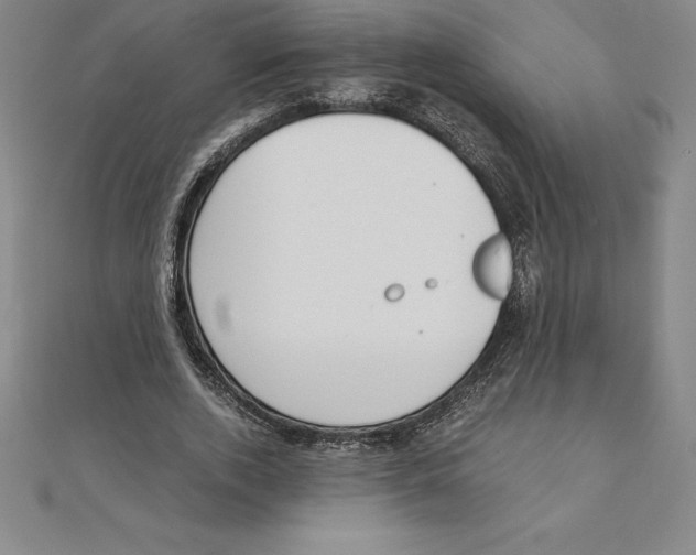 X0000110320728200906181823