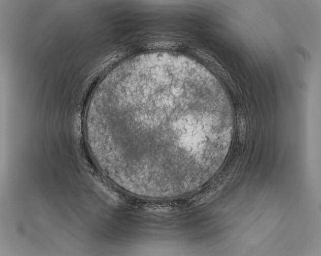 X0000110320729200906181823