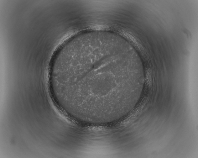 X0000110320730200906181823