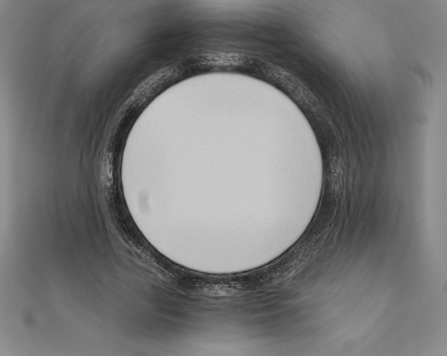 X0000110320731200906181823