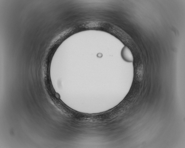 X0000110320732200906181823