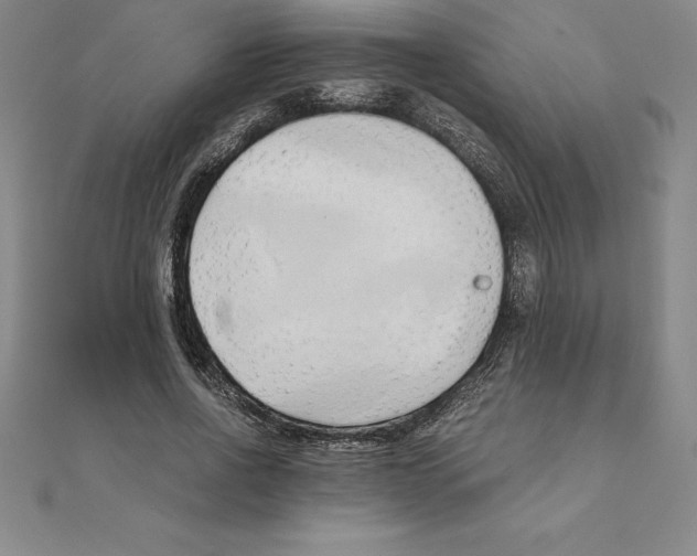 X0000110320734200906181823