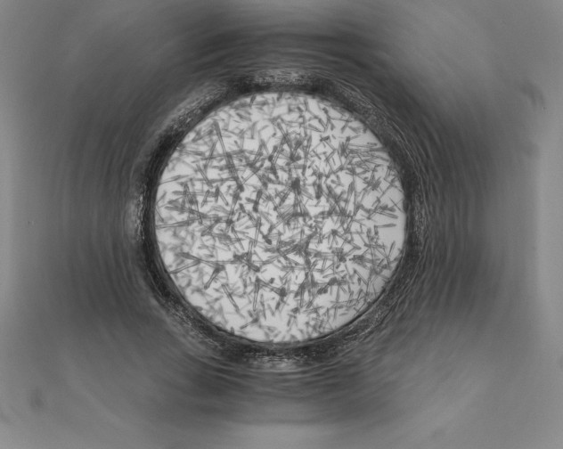 X0000110320735200906181823