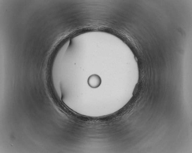 X0000110320736200906181823