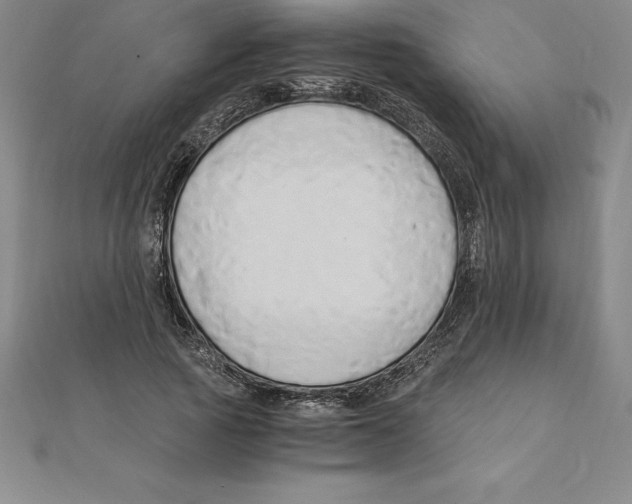 X0000110320737200906181823