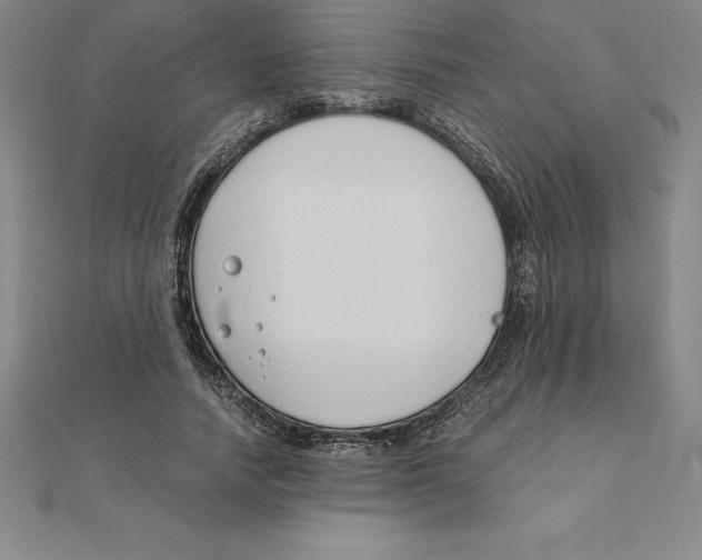 X0000110320738200906181823